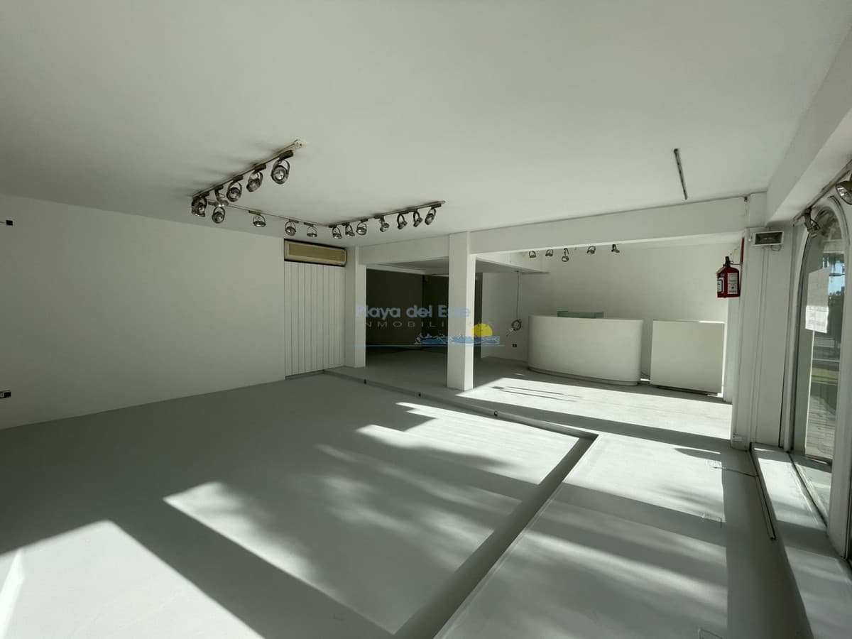Sobre calle 20 en plena Península - Inmobiliaria Playa del Este