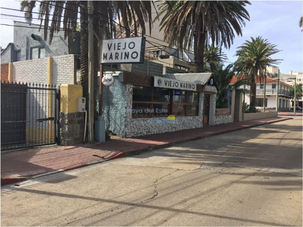 Zona Portuaria  - Inmobiliaria Playa del Este