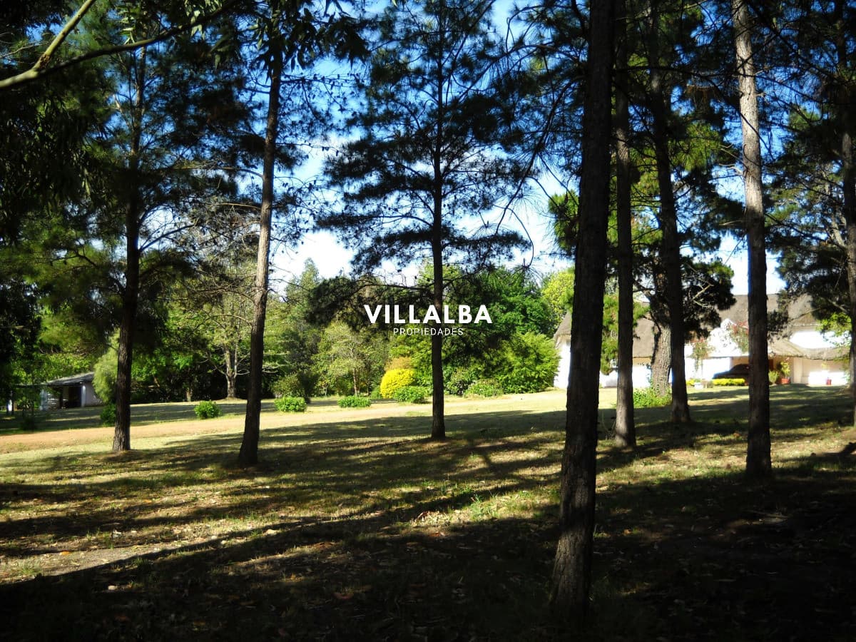 Chacra en venta en Punta Ballena