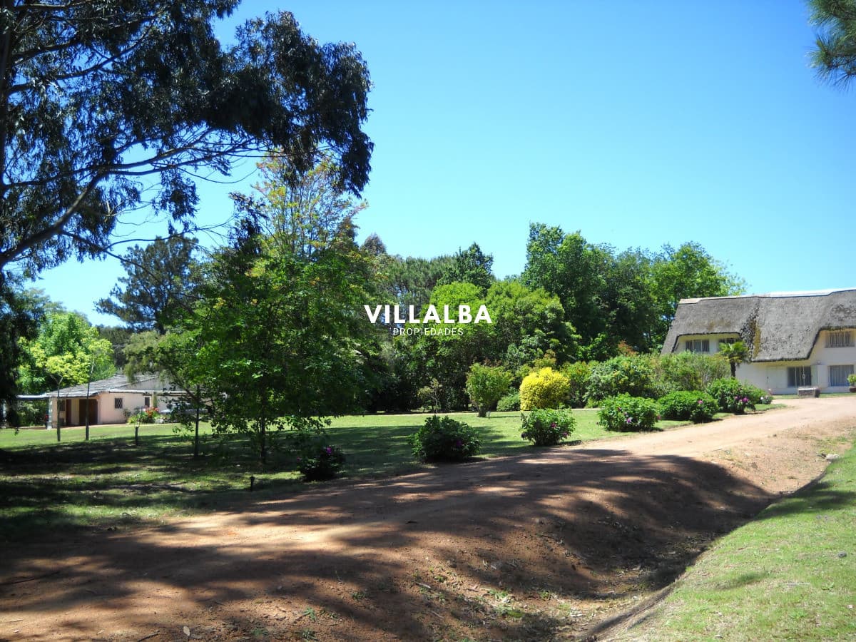 Chacra en venta en Punta Ballena