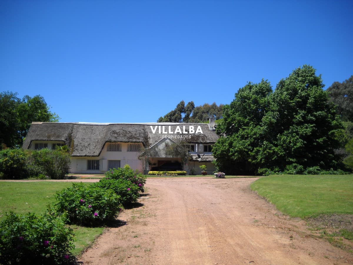Chacra en venta en Punta Ballena
