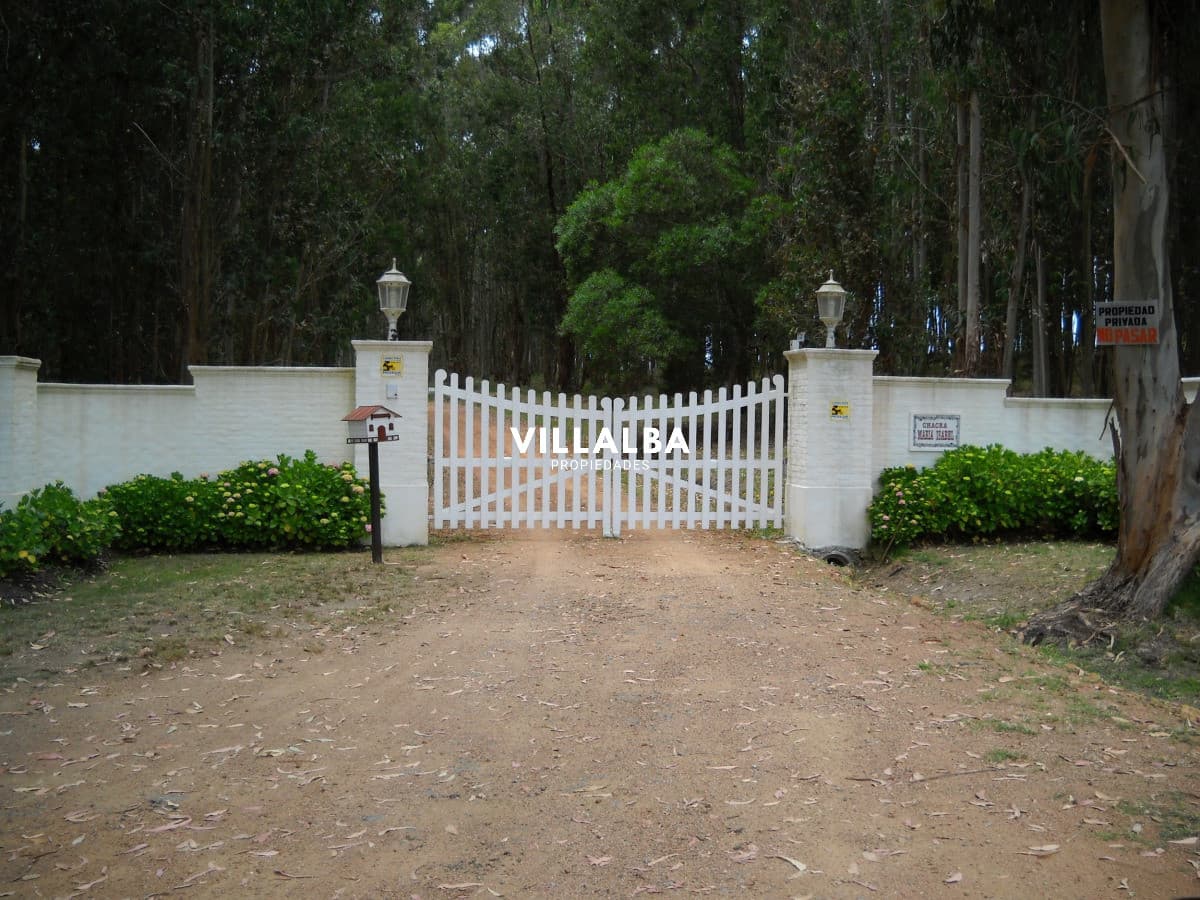 Chacra en venta en Punta Ballena
