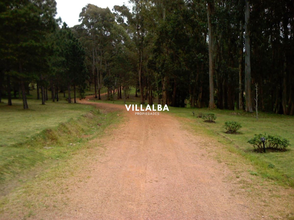 Chacra en venta en Punta Ballena