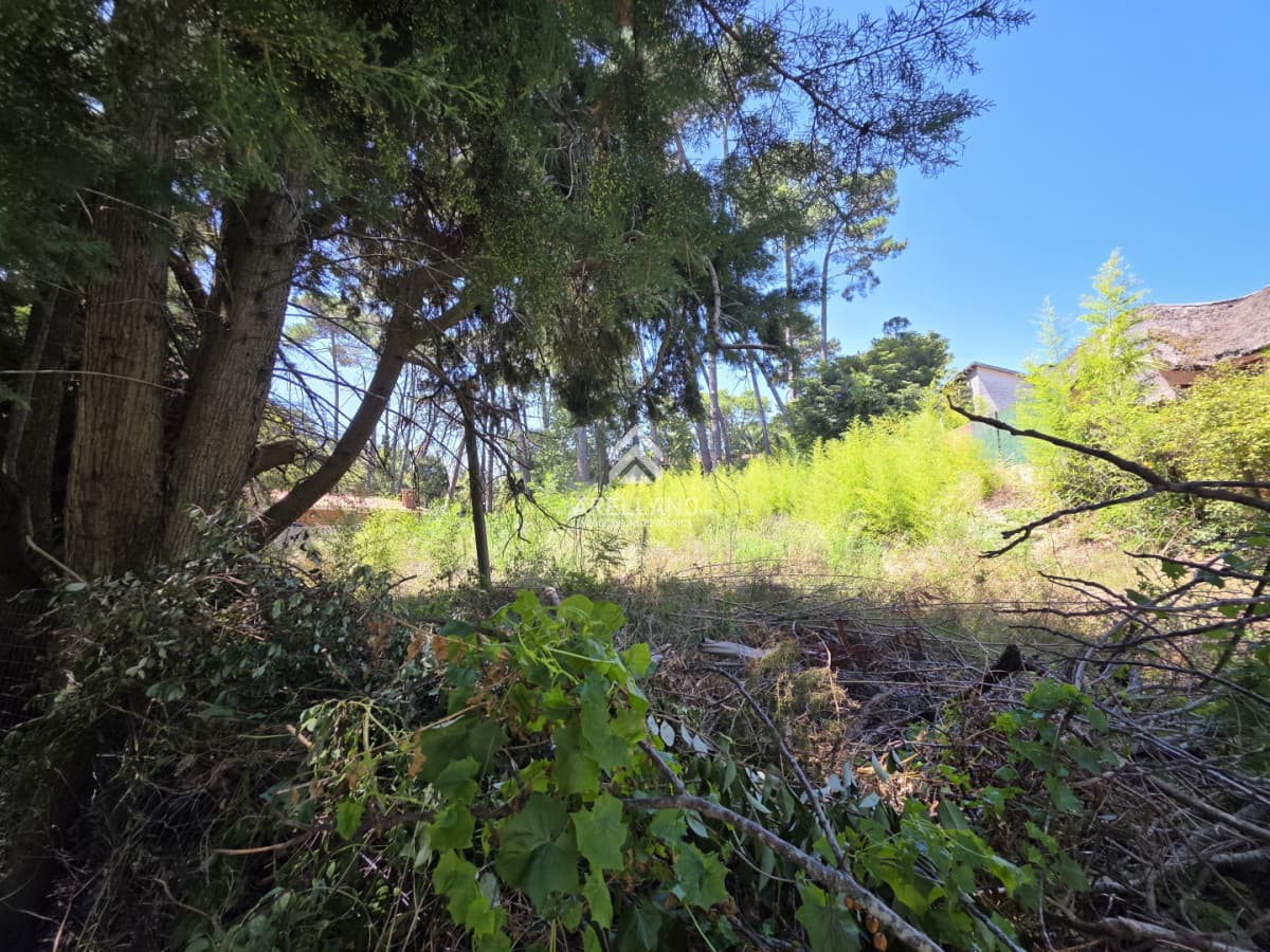 Terreno ID.6294 - VENTA TERRENO EN CANTEGRIL 1000m2