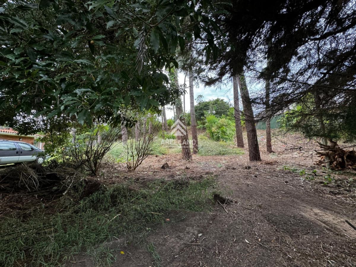 Terreno ID.6294 - VENTA TERRENO EN CANTEGRIL 1000m2