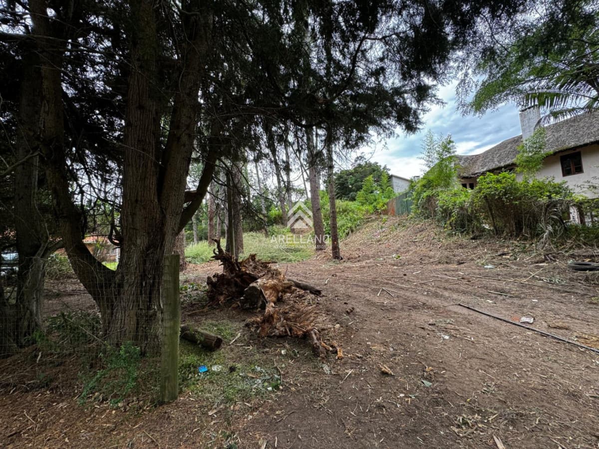 Terreno ID.6294 - VENTA TERRENO EN CANTEGRIL 1000m2