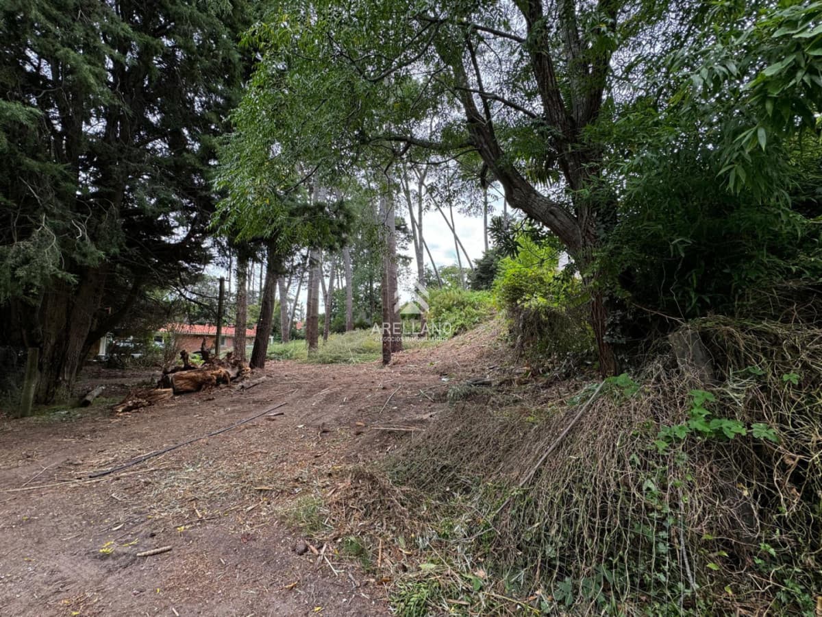 Terreno ID.6294 - VENTA TERRENO EN CANTEGRIL 1000m2