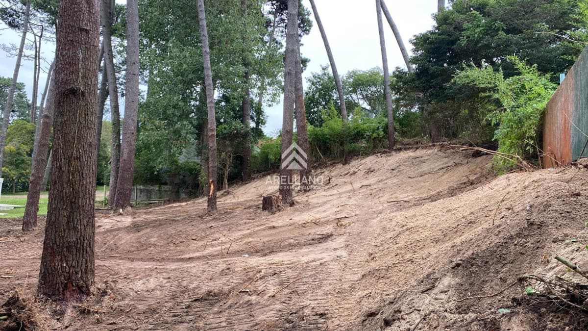 Terreno ID.6294 - VENTA TERRENO EN CANTEGRIL 1000m2