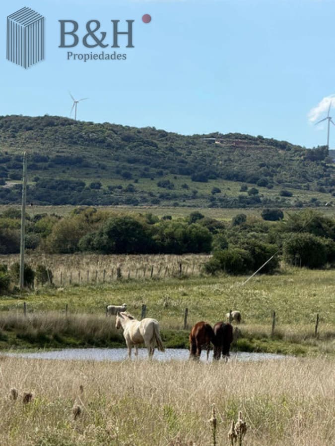 Campo en Maldonado -
