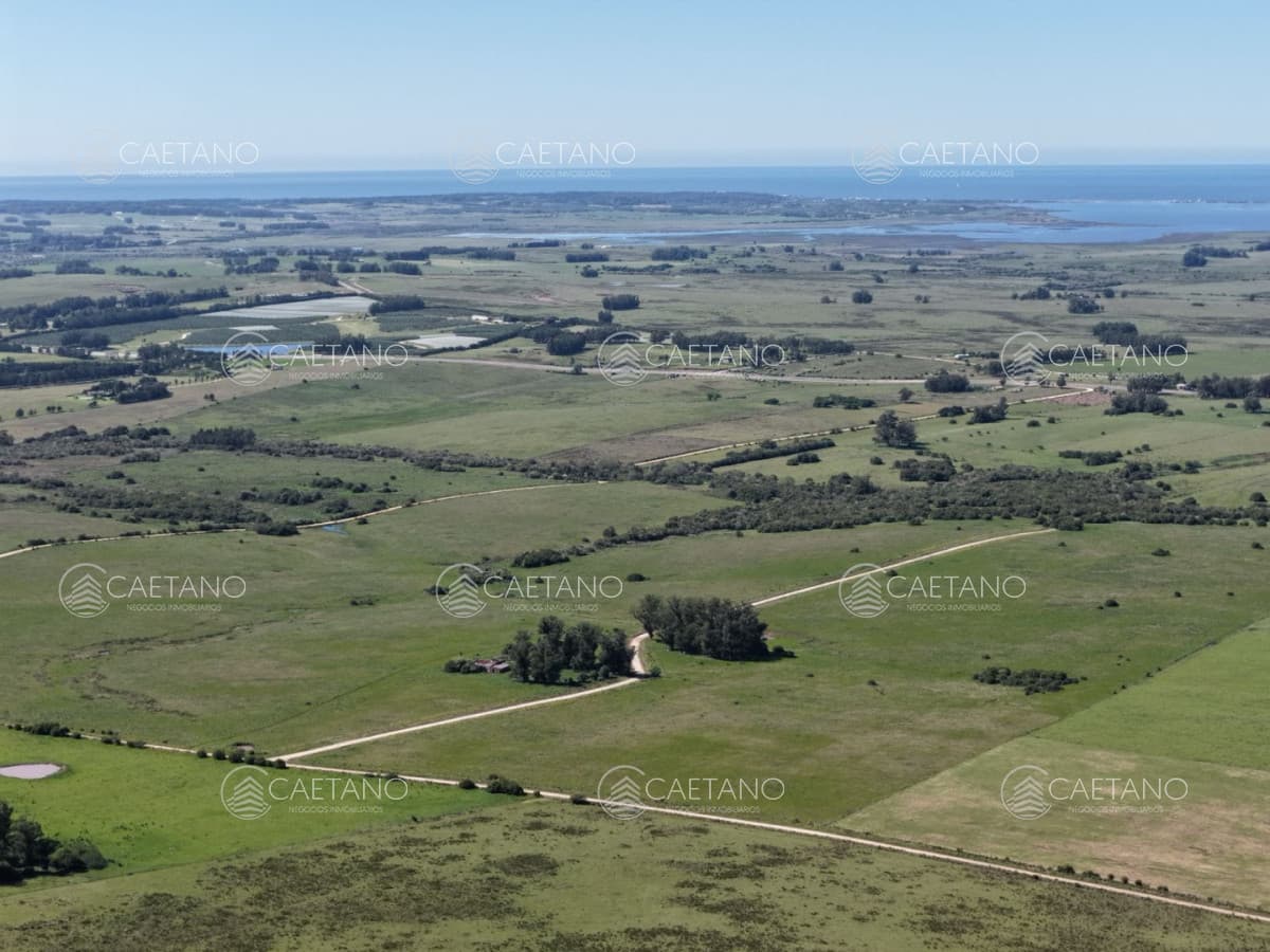 Chacras de 3 hectareas Ama Jose Ignacio , desde 85,000 dolares