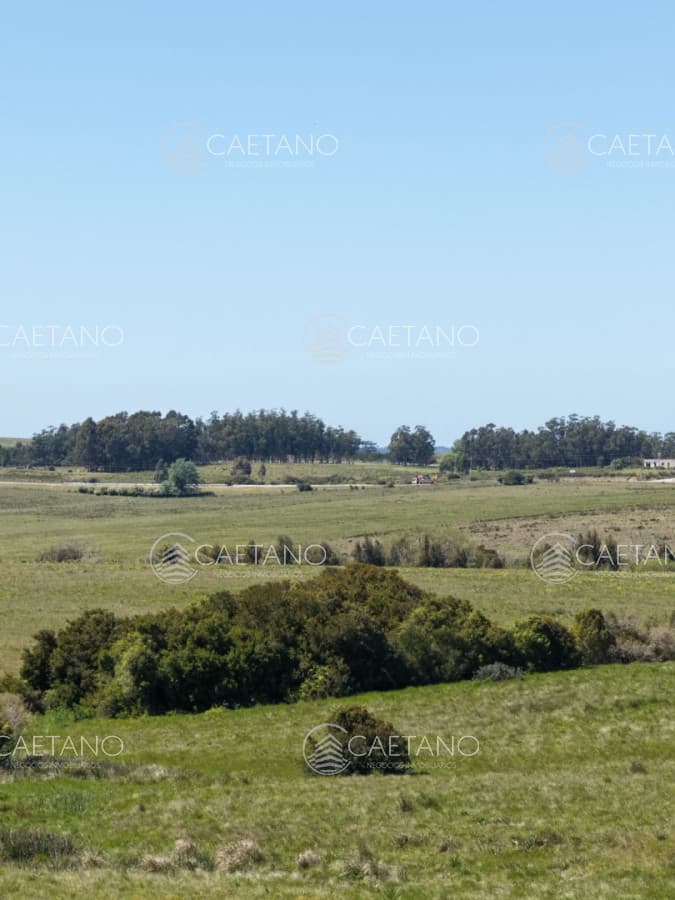Chacras de 3 hectareas Ama Jose Ignacio , desde 85,000 dolares