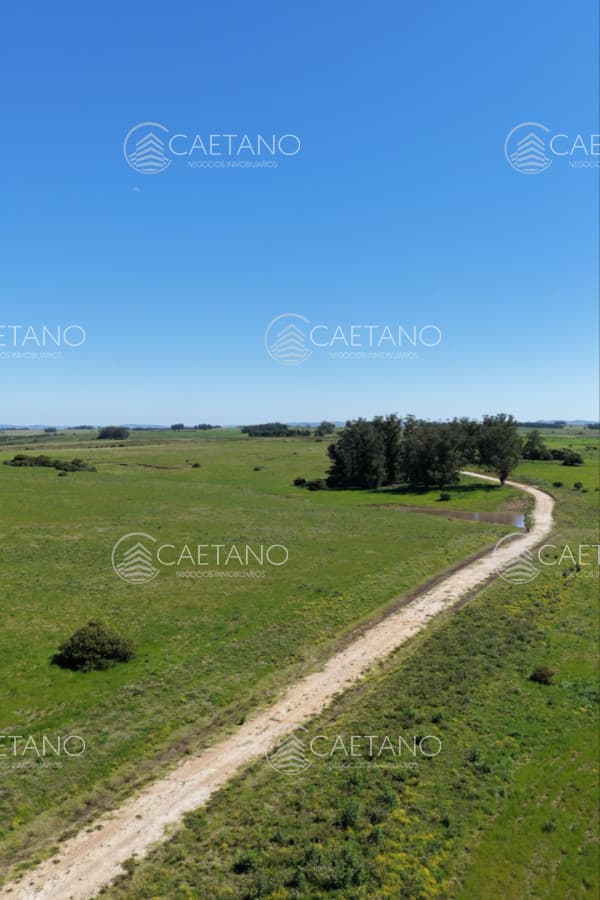 Chacras de 3 hectareas Ama Jose Ignacio , desde 85,000 dolares