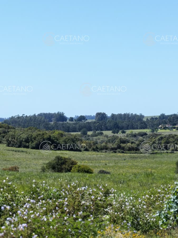 Chacras de 3 hectareas Ama Jose Ignacio , desde 85,000 dolares