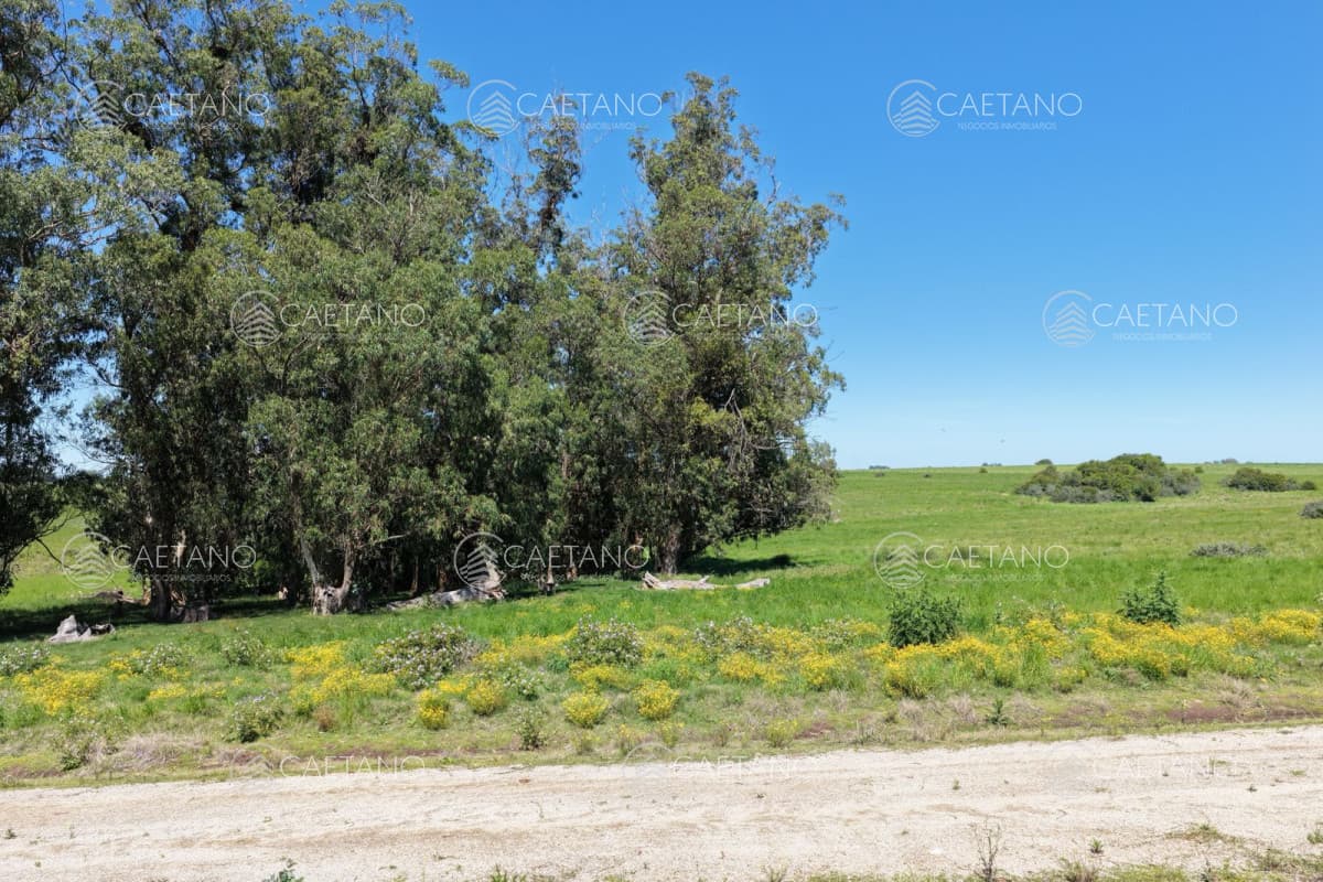 Chacras de 3 hectareas Ama Jose Ignacio , desde 85,000 dolares