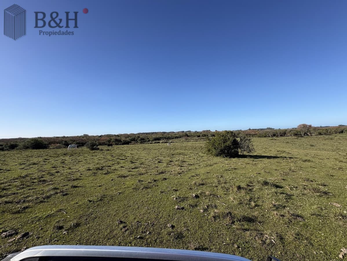 Chacras del Arroyo - Viví la esencia de José Ignacio