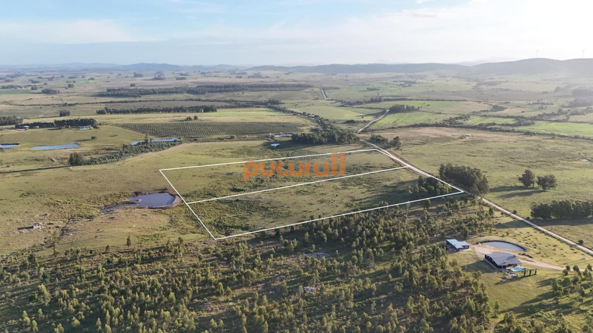 Chacra de 5 hectáreas  en venta - Partido Norte de San Carlos