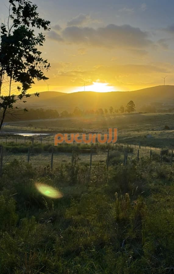 Chacra de 5 hectáreas  en venta - Partido Norte de San Carlos