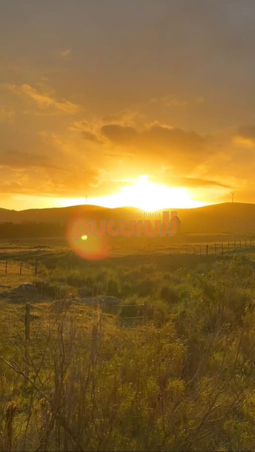 Chacra de 5 hectáreas  en venta - Partido Norte de San Carlos