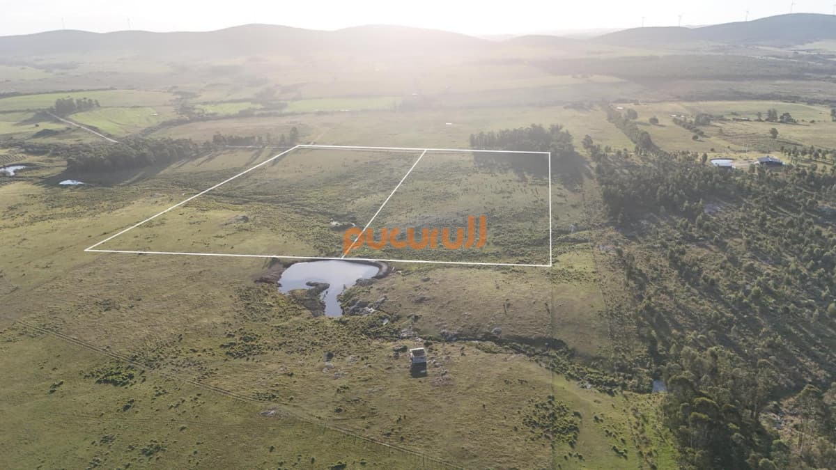 Chacra de 5 hectáreas  en venta - Partido Norte de San Carlos