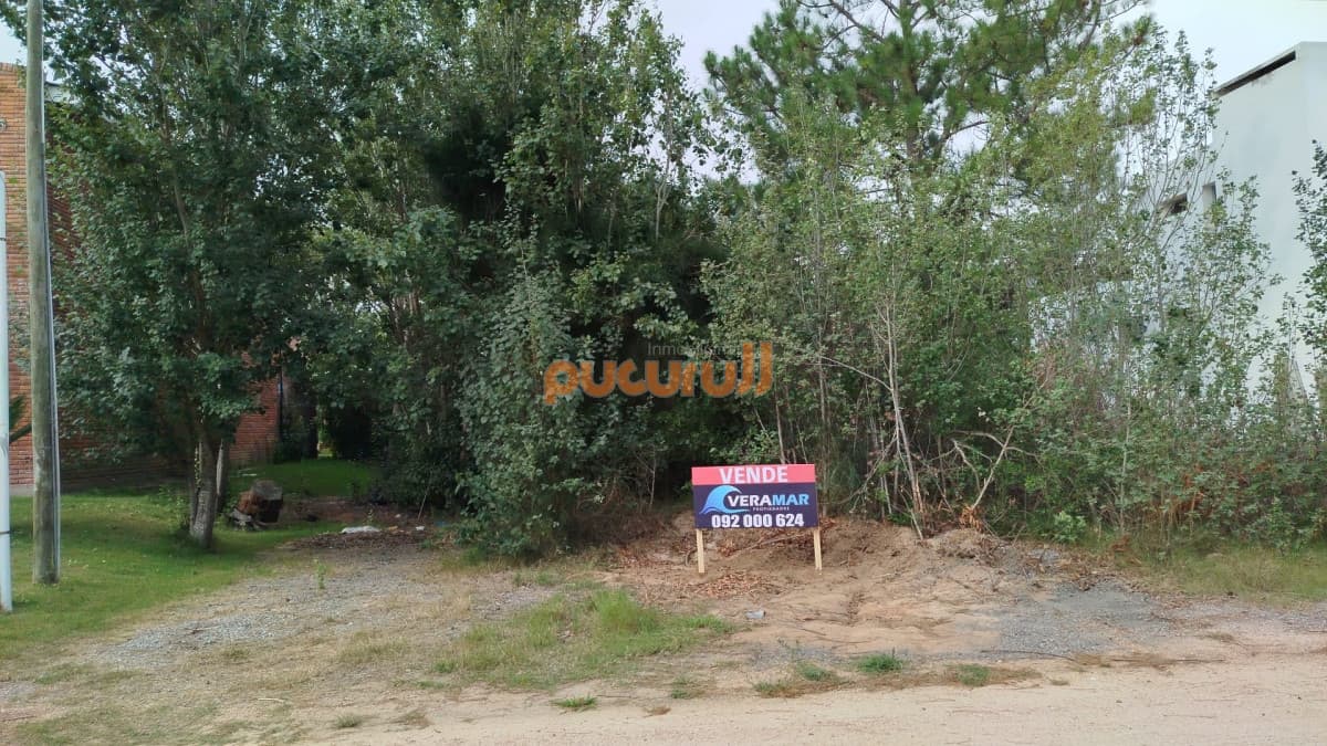 Terreno en Punta Ballena, Tio Tom
