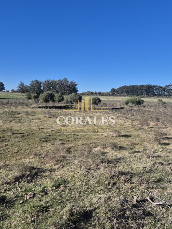 Campo en San Carlos,