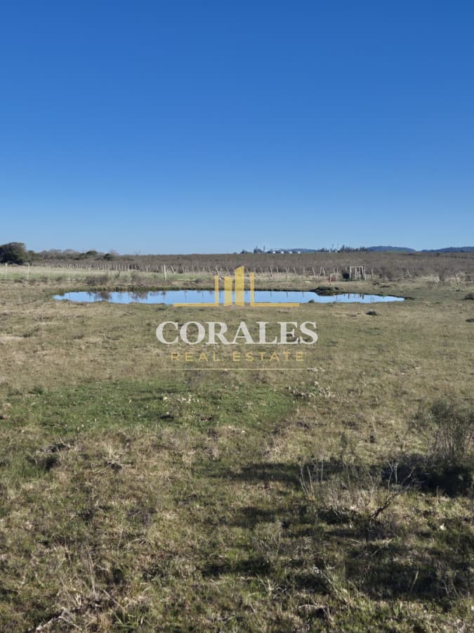 Campo en San Carlos,
