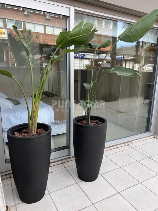 Departamento en alquiler en Gala Puerto  -