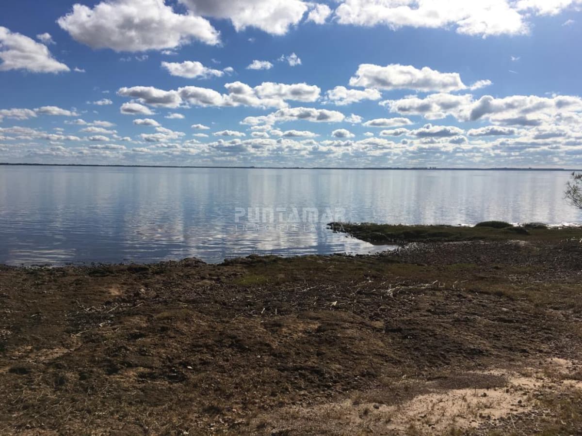 Chacra ID.211476 - VENTA DE EXCEPCIONAL CAMPO SOBRE RÍO URUGUAY