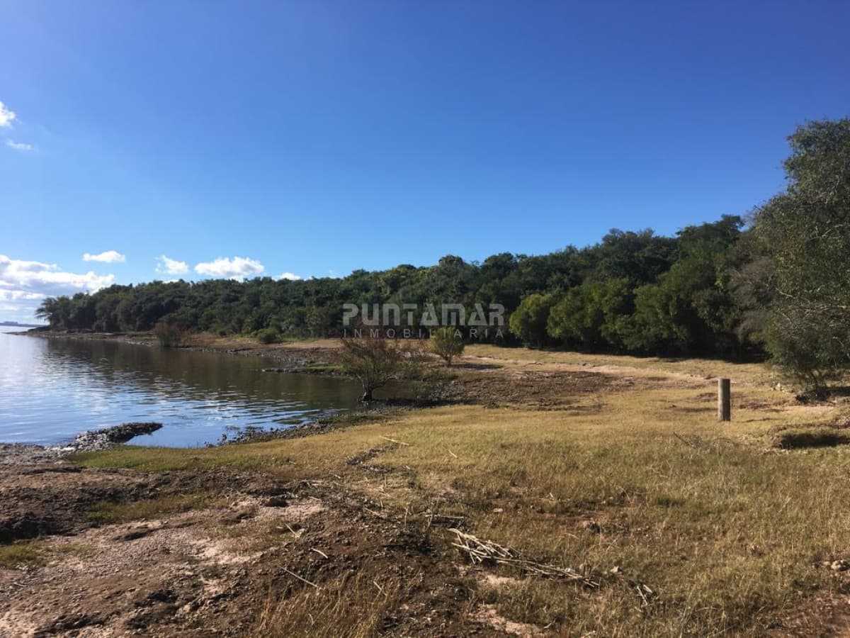 Chacra ID.211476 - VENTA DE EXCEPCIONAL CAMPO SOBRE RÍO URUGUAY
