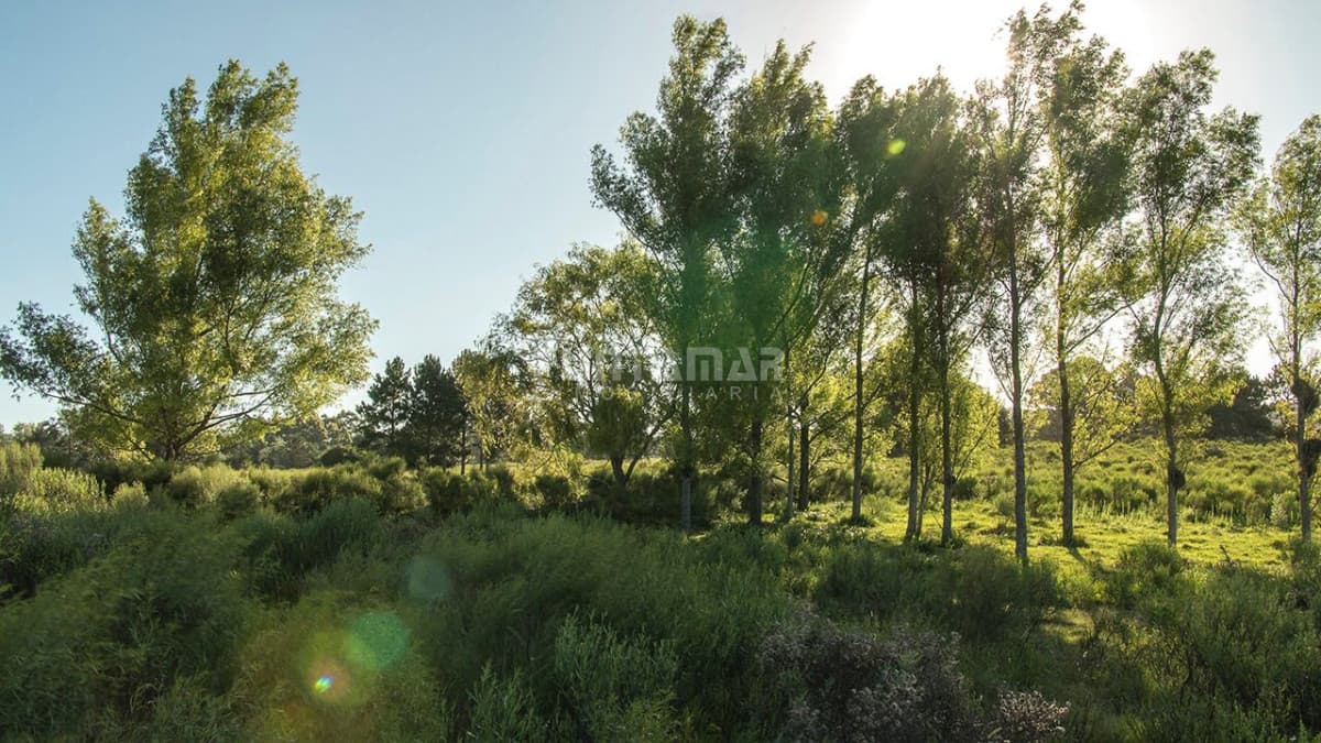 Chacra ID.211522 - VENTA DE CHACRA ZONA LA PATAIA