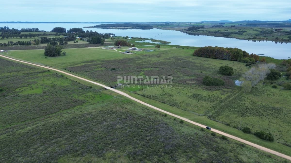 Chacra ID.213839 - OPORTUNIDAD DE INVRERSIÓN VENTA DE CHACRA EN LAGUNA DEL SAUCE  11 HAS