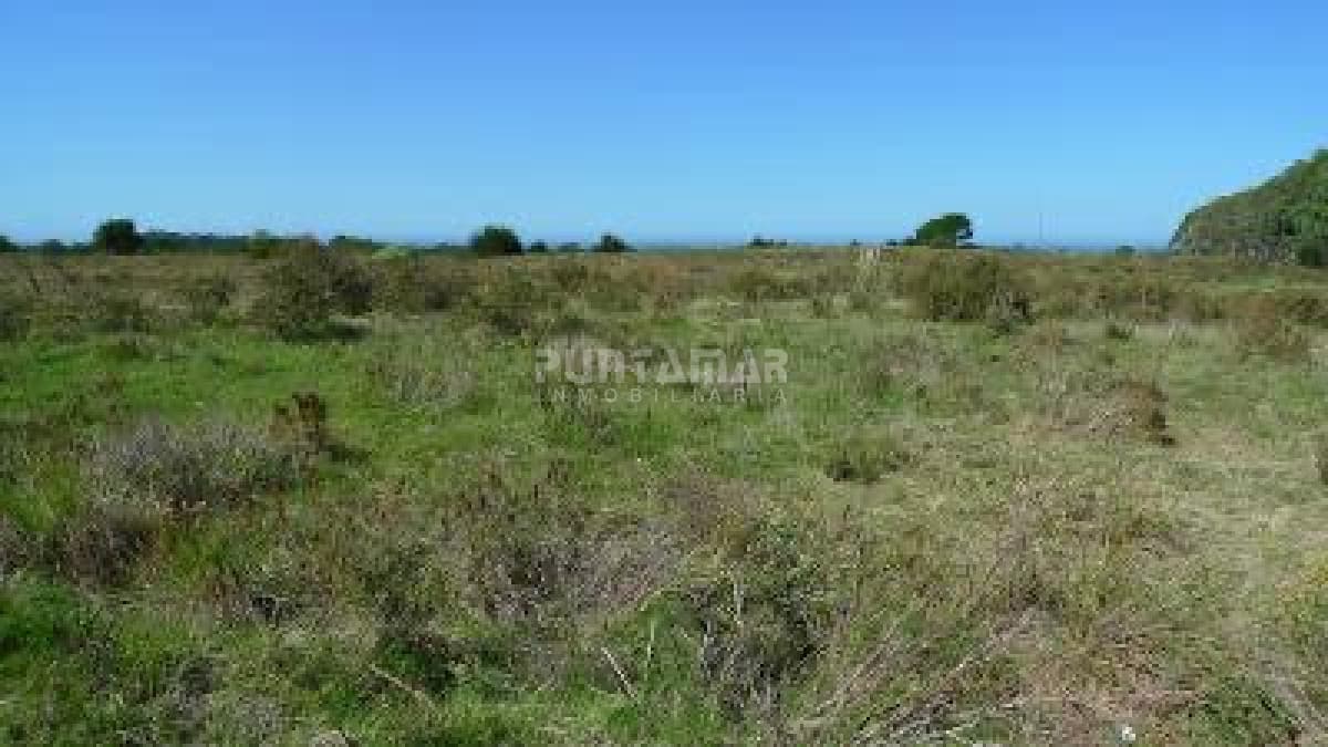 Chacra ID.213148 - Chacras en Rocha venta en