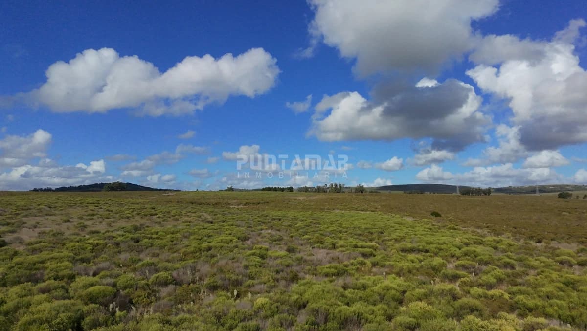Chacra ID.213839 - OPORTUNIDAD DE INVRERSIÓN VENTA DE CHACRA EN LAGUNA DEL SAUCE  11 HAS