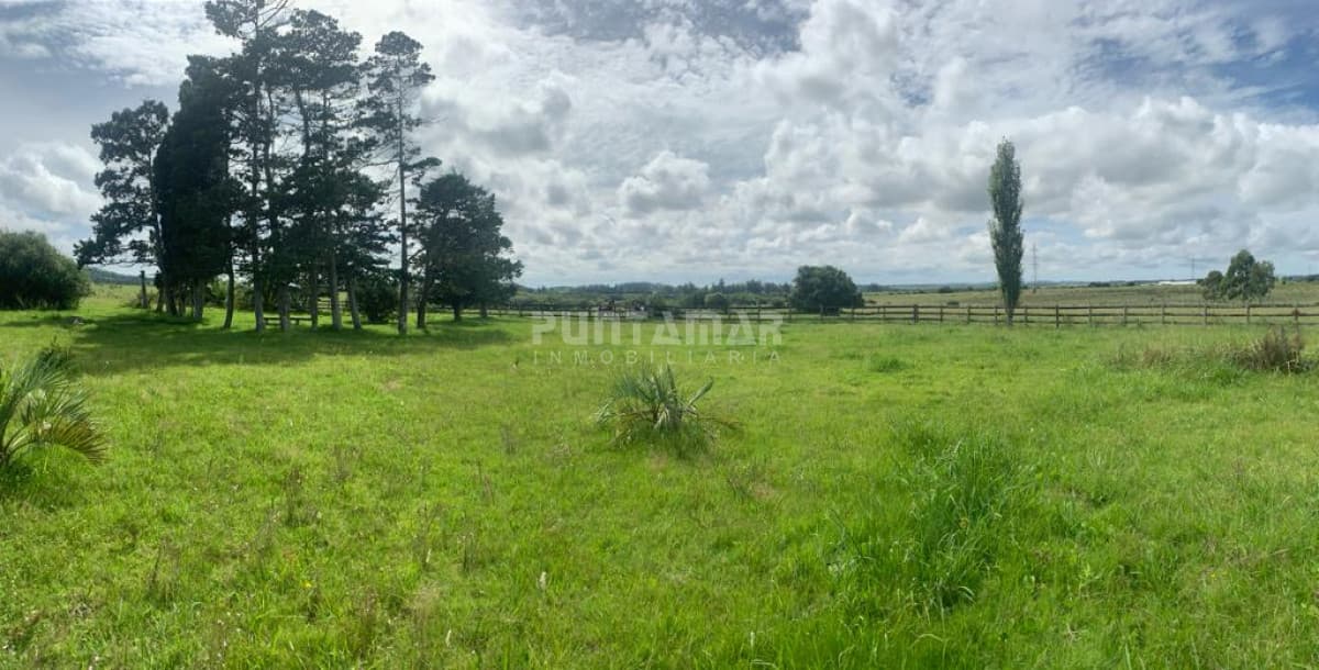 Chacra ID.212616 - CHACRAS DE 5 HECTÁREAS DESDE U$S 160.000 CADA UNA