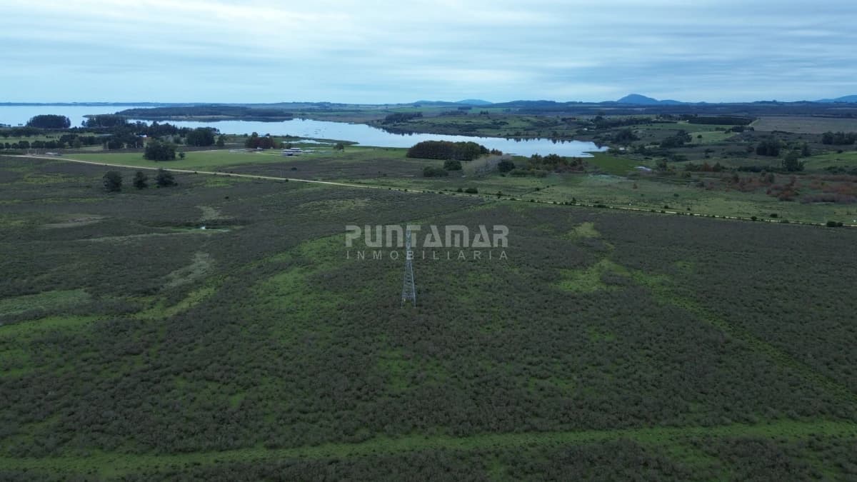 Chacra ID.213839 - OPORTUNIDAD DE INVRERSIÓN VENTA DE CHACRA EN LAGUNA DEL SAUCE  11 HAS