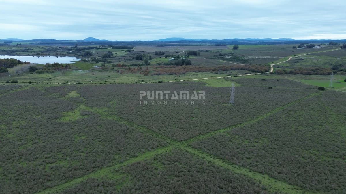 Chacra ID.213839 - OPORTUNIDAD DE INVRERSIÓN VENTA DE CHACRA EN LAGUNA DEL SAUCE  11 HAS