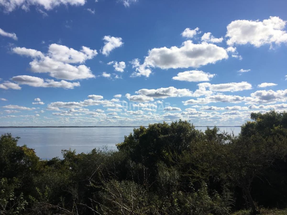 Chacra ID.211476 - VENTA DE EXCEPCIONAL CAMPO SOBRE RÍO URUGUAY