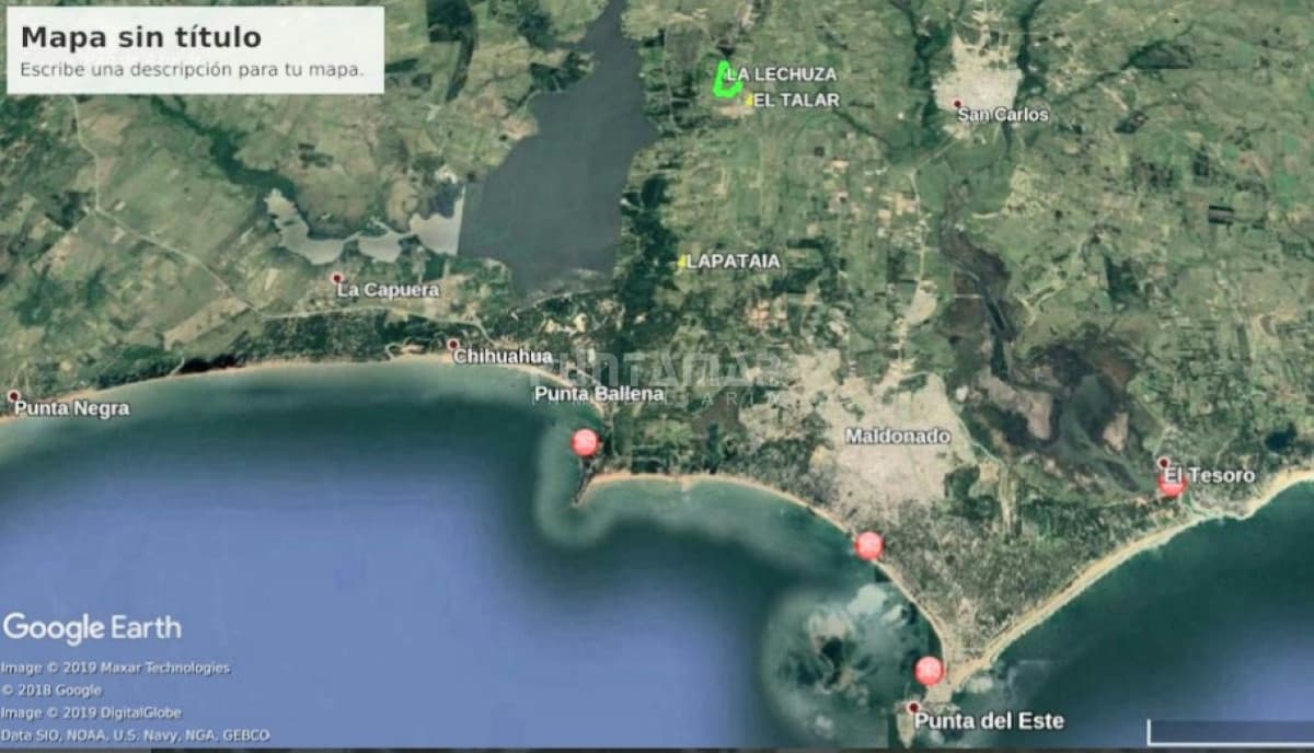 Chacra ID.212616 - CHACRAS DE 5 HECTÁREAS DESDE U$S 160.000 CADA UNA