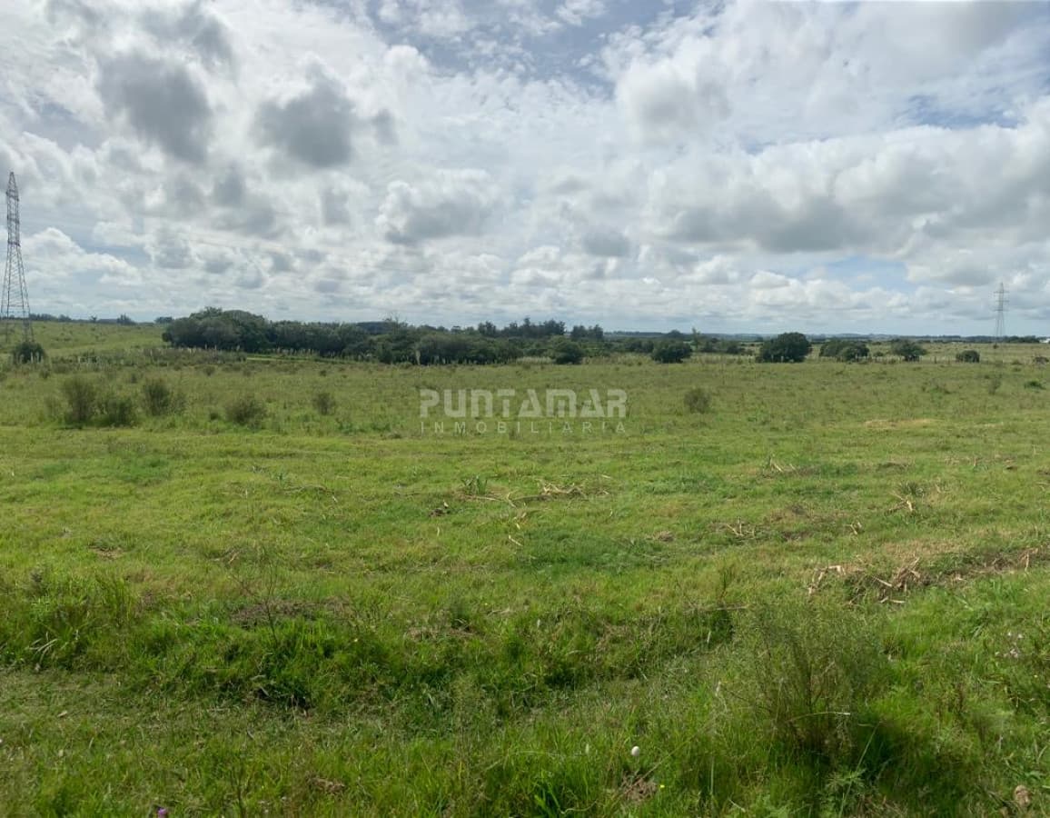 Chacra ID.212616 - CHACRAS DE 5 HECTÁREAS DESDE U$S 160.000 CADA UNA