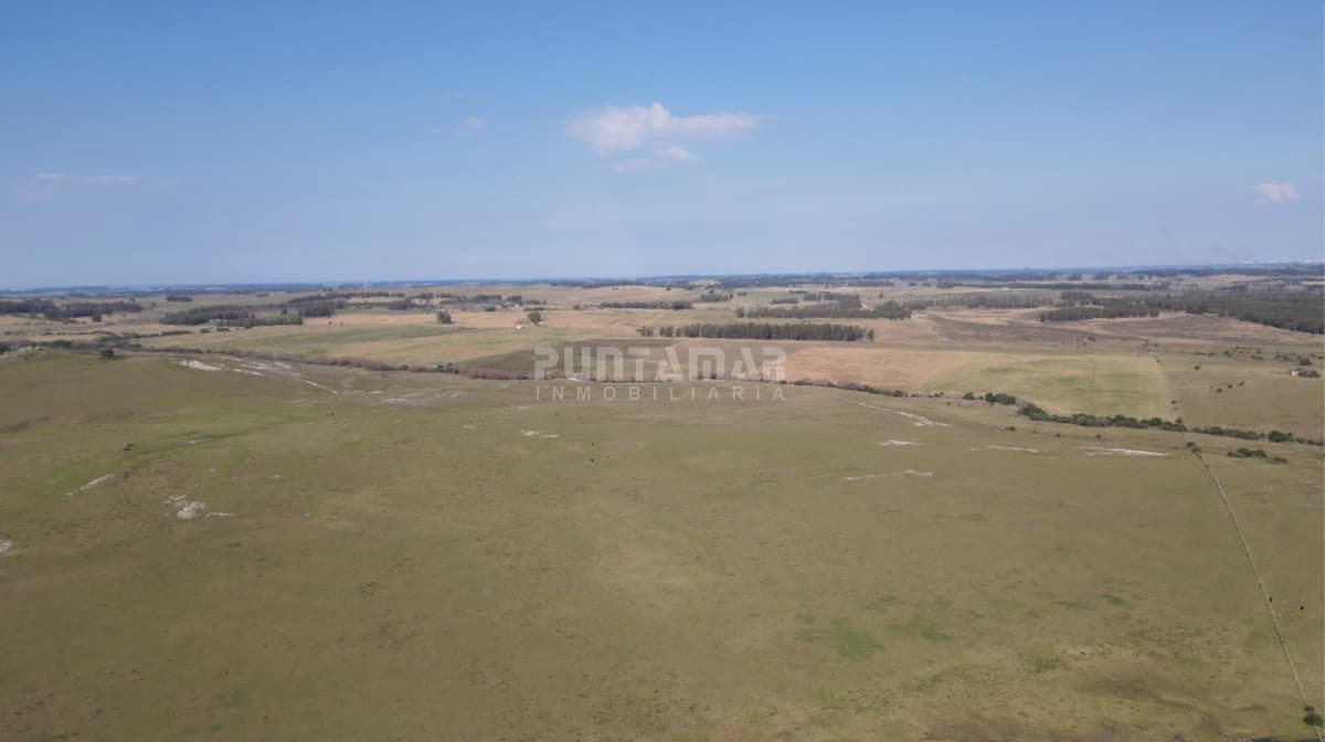 VENTA CAMPO CRIADOR Y TURISTICO 123 HAS EN MALDONADO   -
