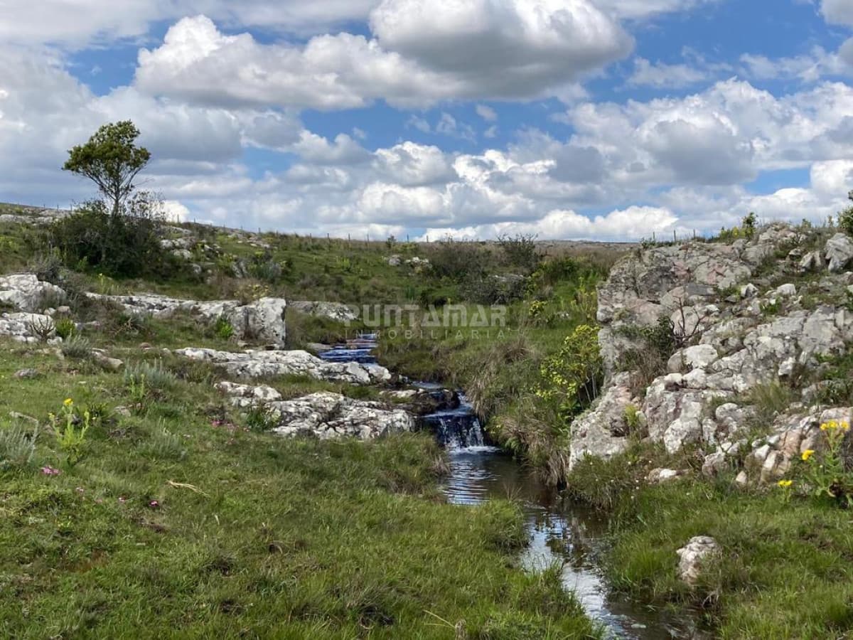 VENTA DE CAMPO DE 12 HAS  CAMINO AIGUA   -
