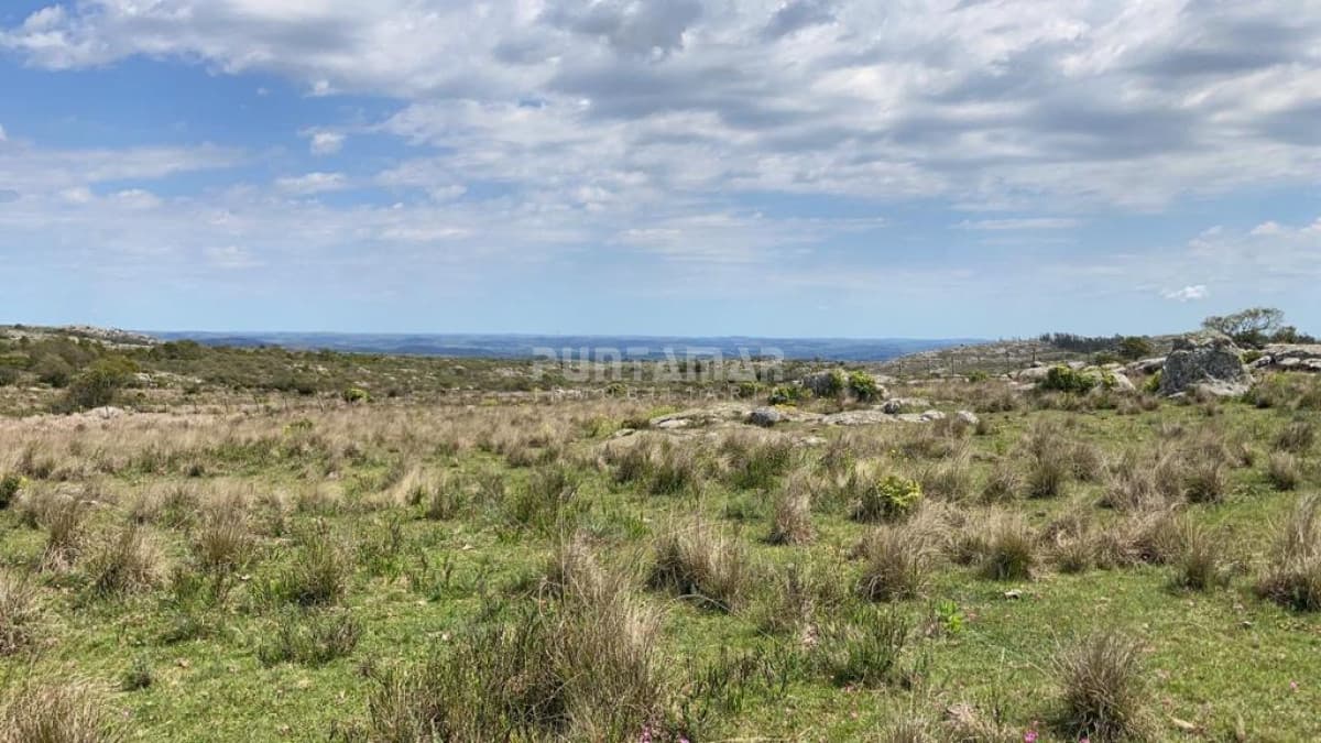 VENTA DE CAMPO DE 12 HAS  CAMINO AIGUA   -