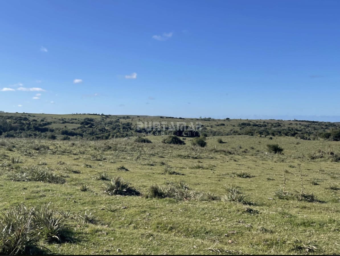 MUY LINDA CHACRA EN ROCHA  -