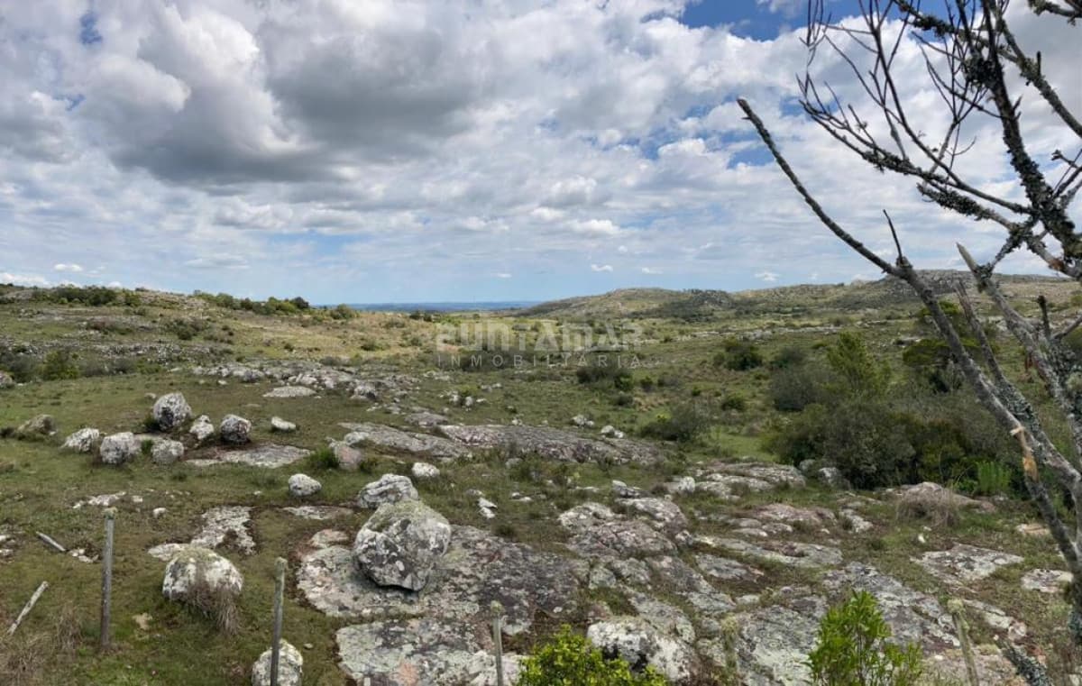 VENTA DE CAMPO PRÓXIMO AIGUA 5 HAS  -