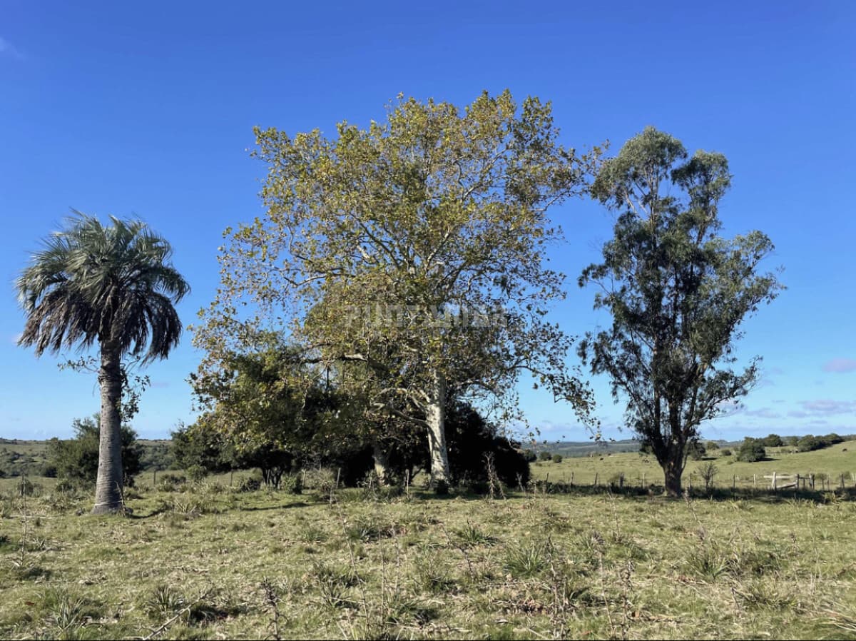 MUY LINDA CHACRA EN ROCHA  -