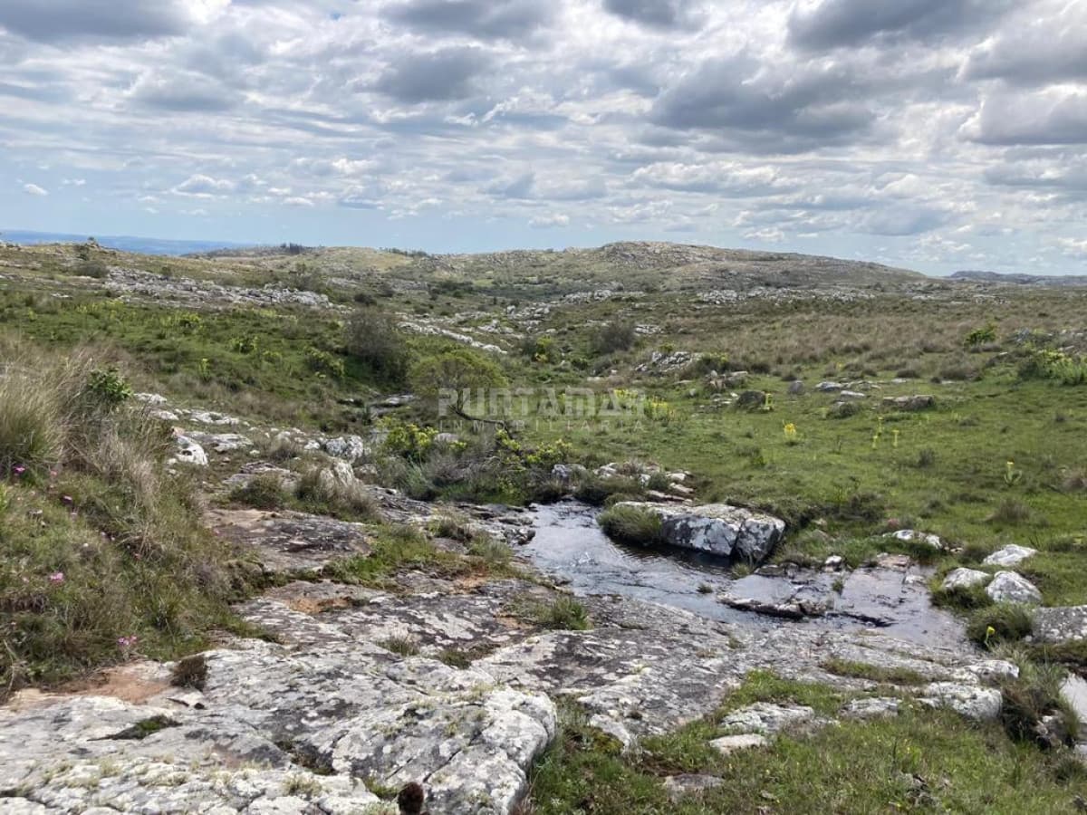 VENTA DE CAMPO PRÓXIMO AIGUA 5 HAS  -