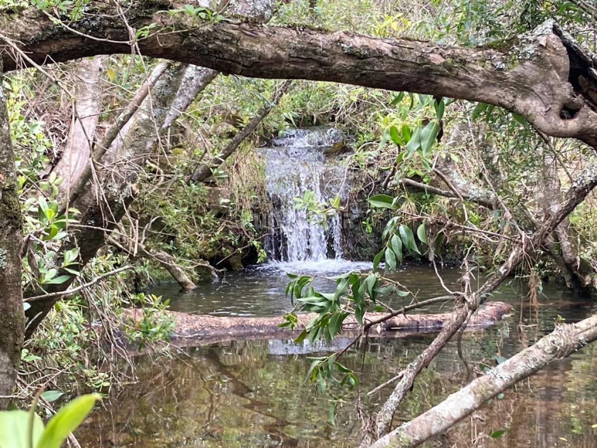 VENTA DE CAMPO PRÓXIMO AIGUA 5 HAS  -
