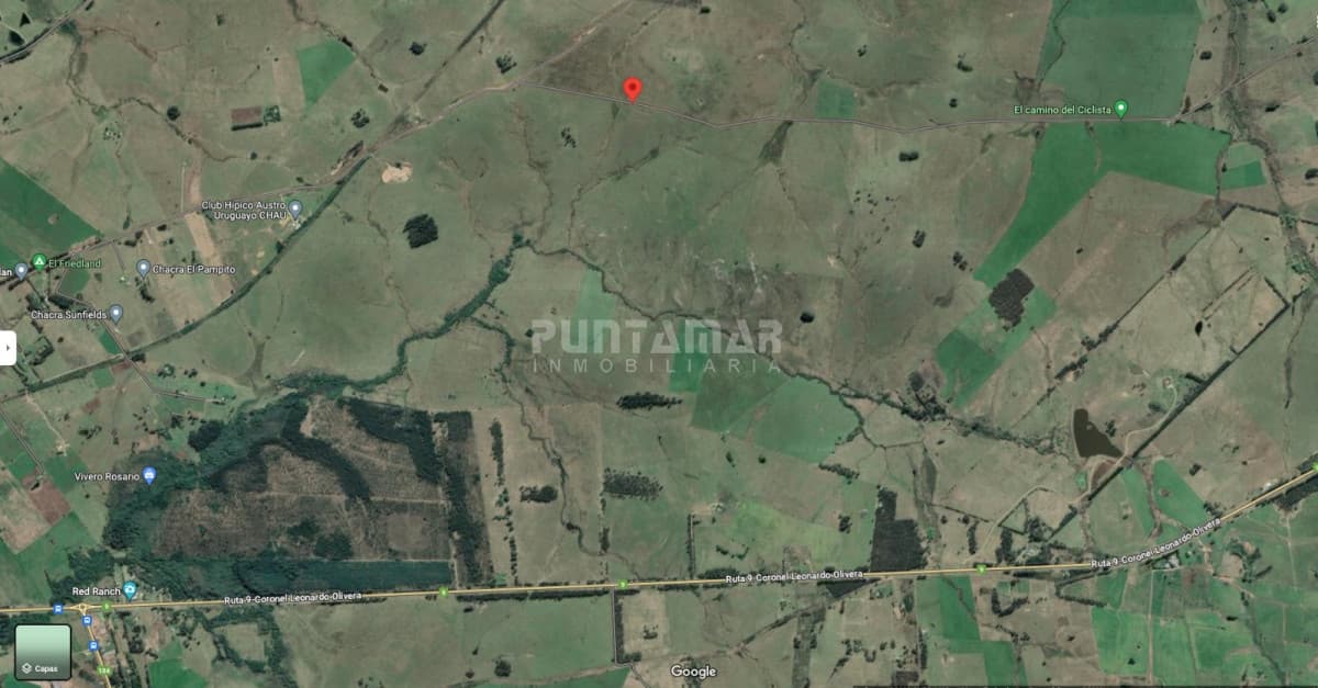 VENTA CAMPO CRIADOR Y TURISTICO 123 HAS EN MALDONADO   -