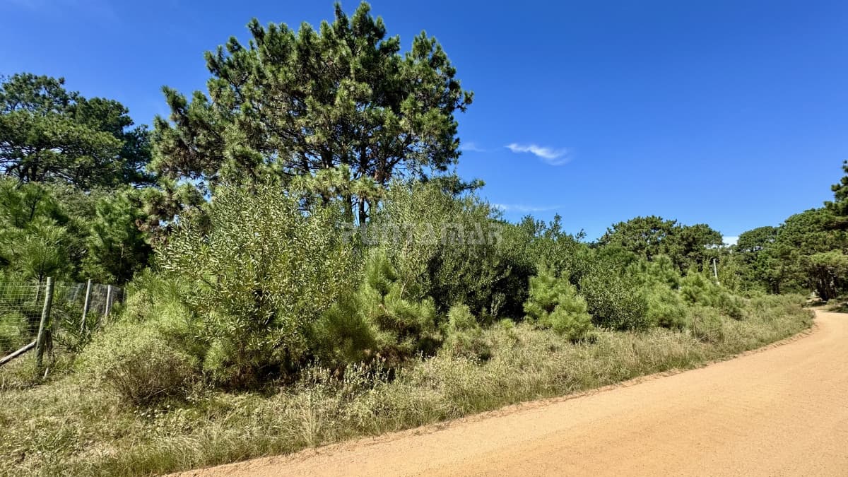 Terreno ID.213636 - OPORTUNIDAD TERRENO DE 1200 METROS EN BARRA VERDE