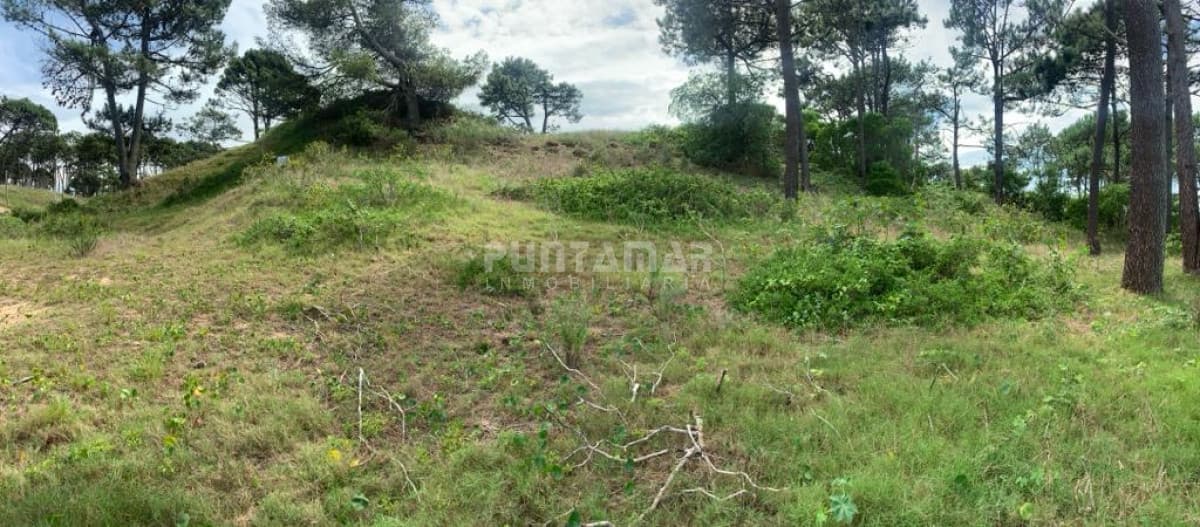 Terreno ID.211195 - Terreno en venta en Rincón del Indio, 1000 m2, oportunidad de inversión!